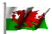 Nationalmannschaft Wales